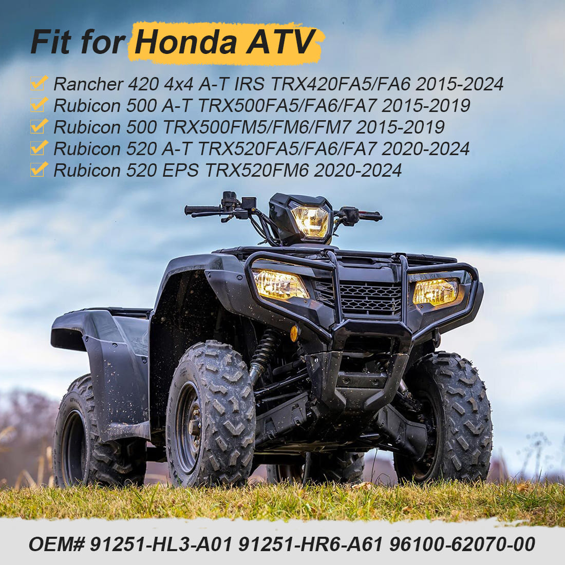 Rear Differential Bearing Seal Kit For Honda Rancher 420 Rubicon 500 520 2015-2024