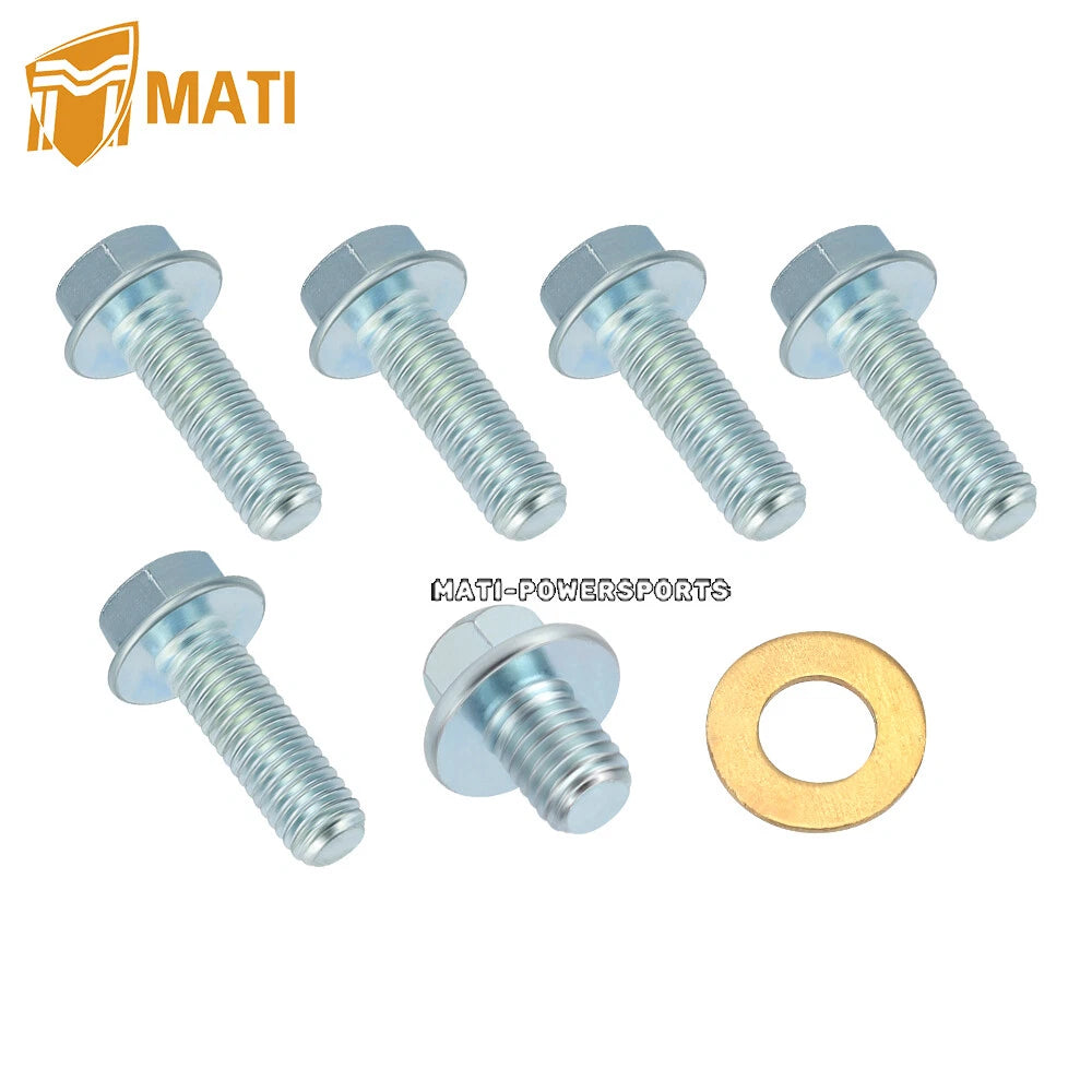 Rear Brake Backing Plate & Shoes For Honda TRX250EX 2x4 Sportrax 250 2001-2008